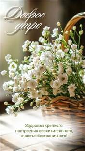 Лучшие серии кукол лол