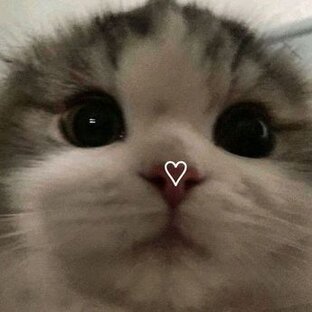 Влоги💗
