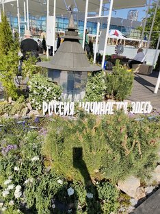 Будущее в цветах