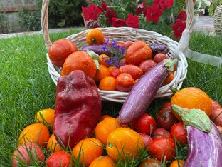 Хозяйство: советы агронома