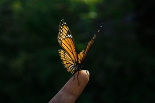 Личный опыт