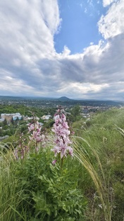 Пятигорск и окрестности