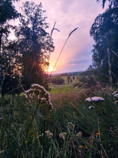 Вдохновение🌿