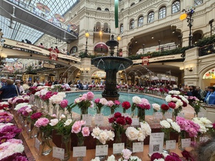 Выставки и события