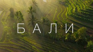 Как выбрать район проживания на острове Бали?