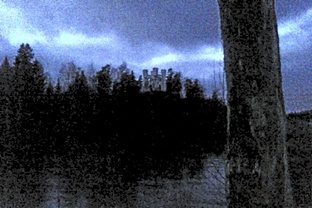 Структура и Цели Ордена