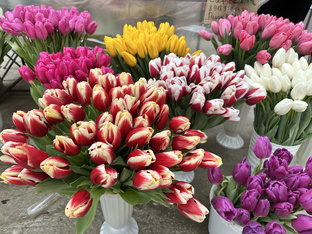 Наблюдения за весной в Краснодарском крае