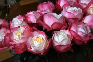 Японские розы