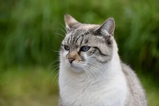 Статьи, которые заставляют задуматься...