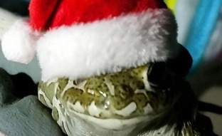 Мемы с ИИ и прочья нейросеть!🤖