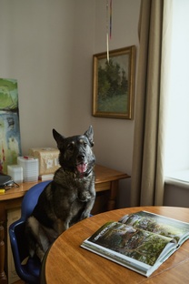 Публикации