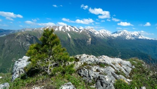 Перезаливы