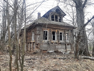 "Заброшенные, но такие живые"