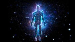 Человеческий организм