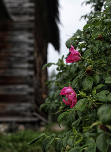 Ивановская область 