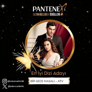 Ночная сказка 