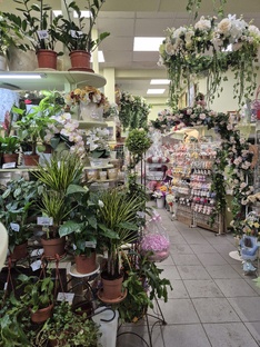 Советы по выбору растений