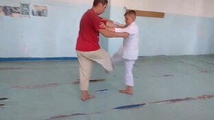 Боковая подсечка под одну ногу-k.De Ashi Barai. Дзюдо 