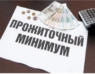 Прожиточный минимум 