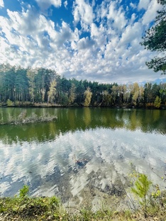Красота природы🌳🌿🍄‍🟫🌾