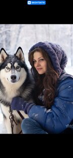 Новогодние подарки, тапочки, шары, елочки, дед мороз