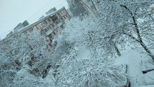 Вот и началась Зима