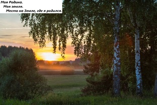 Моя Родина. Мое Мнение