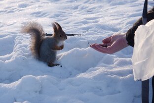 Времена года