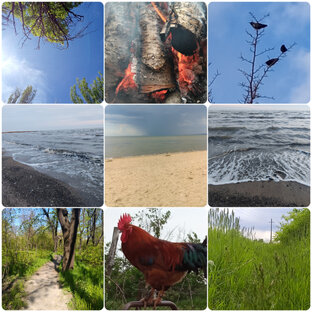 Звуки Природы