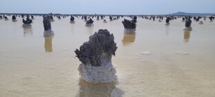 Соль земли: соляные озёра Баскунчак и Эльтон-2024