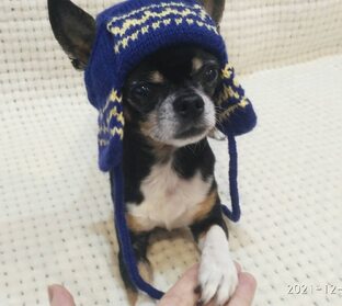 Шапка Мультяшка