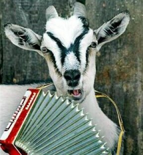 Просто интересно