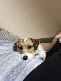 Помогите мне!