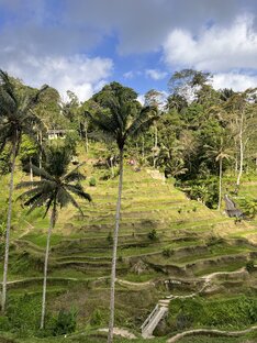 Фото отчеты с поездок 