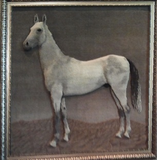 	     Ковер для королевы