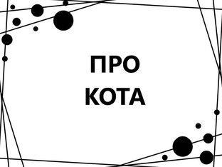 Веселые будни кота