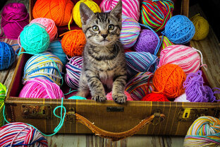 Я в совместных проектах 🧶❤️