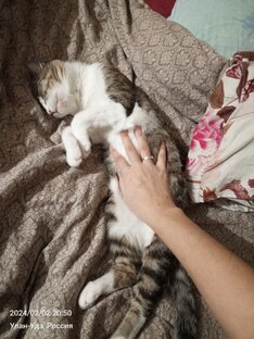 Я сплю немешайте