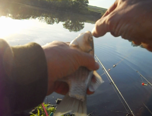 На рыбалку с удочкой