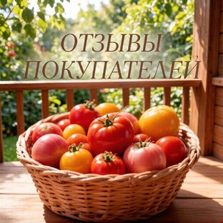 Отзывы покупателей