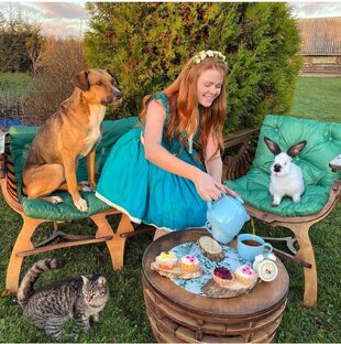 Сказки Рыжего Фермера