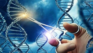 Изменение генома CRISPR