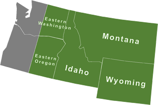 Назлобудневное