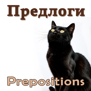 Предлоги.