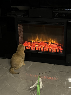 Мысль дня….☝️🤔