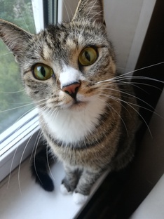 Отказ от алкоголизма, лени и прокрастинации! 