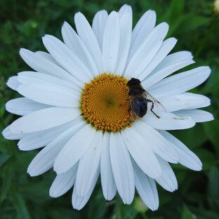 Это лучшее вложение в себя