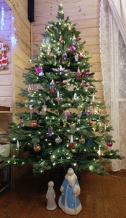 Наши ёлки 2026