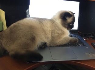 Засиделся?Разомнись