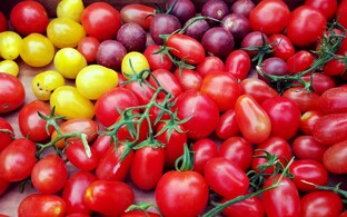 Любимая дача